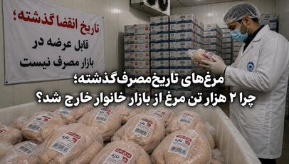 مرغ‌های تاریخ‌مصرف‌گذشته؛ چرا ۲ هزار تن مرغ از بازار خانوار خارج شد؟