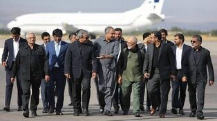 وزیر کشور پاکستان وارد مشهد شد