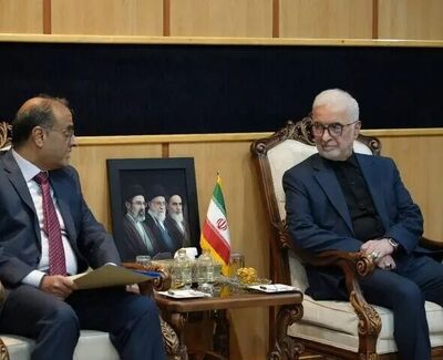 دیدار سفیر جدید پاکستان با وزیر کشور؛ تأکید تهران و اسلام‌آباد بر گسترش همکاری‌های دوجانبه