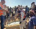 هشدار سازمان ملل درباره غزه؛ بازرسان بین‌المللی به مناطق تخریب‌شده دسترسی می‌خواهند