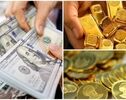 آخرین قیمت دلار، طلا و یورو امروز یکشنبه ۲۹ شهریور ۱۴۰۵