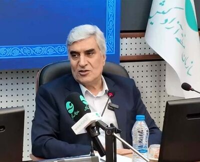 واگذاری فعالیت‌های اقتصادی به بخش خصوصی الزامی است
