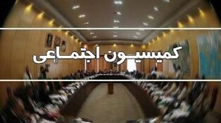 ماجرای بازنشستگی رئیس گمرک به مجلس کشید
