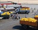 مرز بین‌المللی مهران باز و فعال است؛ تردد مسافران، زائران و کامیون‌های صادراتی بدون محدودیت ادامه دارد
