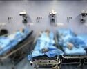 اسفناج آلوده به گیاه سمی در بجنورد؛ یک بازداشت پس از مسمومیت شهروندان