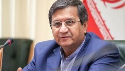 واکنش همتی به ادعای فروپاشی اقتصاد ایران؛ «جوجه را آخر پاییز می‌شمارند»