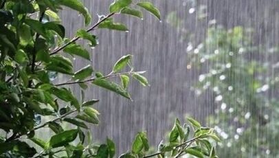 پیش بینی آب و هوای استان ها امروز یکشنبه ۲۵ مرداد