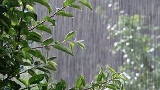 وضعیت آب و هوای  کهگیلویه و بویراحمد  فردا پنجشنبه 15 مرداد 1405