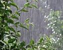 رگبار، رعدوبرق و وزش باد شدید در راه چندین استان کشور
