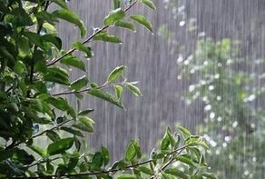 وضعیت آب و هوای  کهگیلویه و بویراحمد  فردا پنجشنبه 15 مرداد 1405