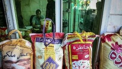 افزایش واردات، قیمت برنج پاکستانی را در بازار ایران کاهش داد