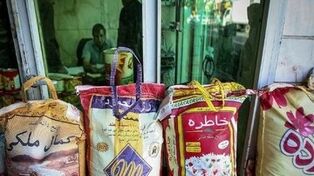 افزایش واردات، قیمت برنج پاکستانی را در بازار ایران کاهش داد