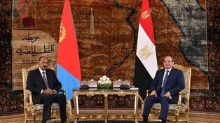 تأکید مصر و اریتره بر حفظ ثبات؛ تحولات شاخ آفریقا زیر ذره‌بین