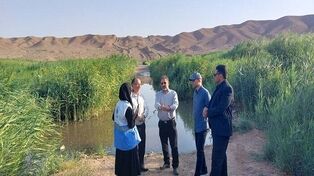 منشأ بوی نامطبوع و هجوم حشرات در رودخانه شور پرند چیست؟