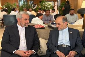 مدنی‌زاده برای اجلاس وزرای دارایی بریکس وارد بمبئی شد