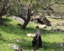 حضور مستند «نازول» در بخش مسابقه اصلی جشنواره فیلم مونته‌نگرو