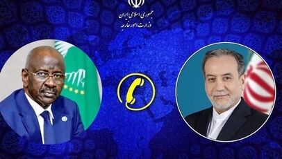 عراقچی بر تقویت همکاری کشورهای اسلامی برای حمایت از فلسطین تأکید کرد
