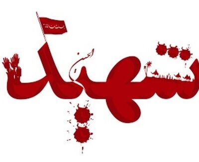 واکنش مدیرکل حفاظت محیط زیست هرمزگان به شهادت خانواده محیط‌بان در حمله آمریکا