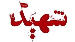 واکنش مدیرکل حفاظت محیط زیست هرمزگان به شهادت خانواده محیط‌بان در حمله آمریکا
