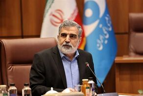 آمریکا در رأی‌گیری آژانس شکست خورد
