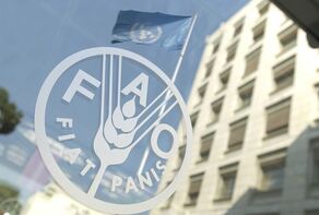 افزایش دوباره قیمت جهانی مواد غذایی تحت تأثیر تنش‌های ژئوپلیتیک