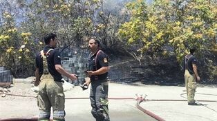 دود مشاهده‌شده در شمال تهران مربوط به آتش‌سوزی فضای سبز اوین است