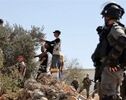 فتوای جنجالی خاخام صهیونیست؛ برداشت زیتون فلسطینیان مجاز اعلام شد